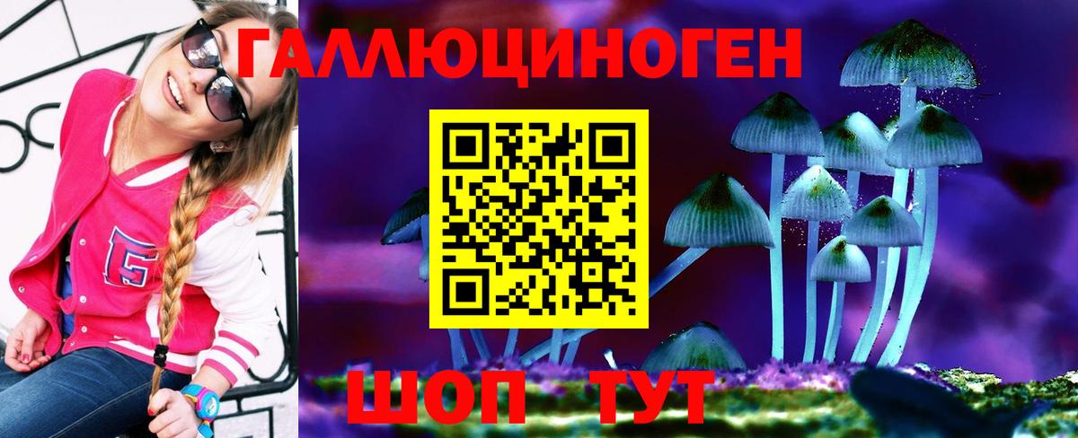 Лесозаводск  Псилоцибиновые грибы MAGIC MUSHROOMS  Вход с VPN 